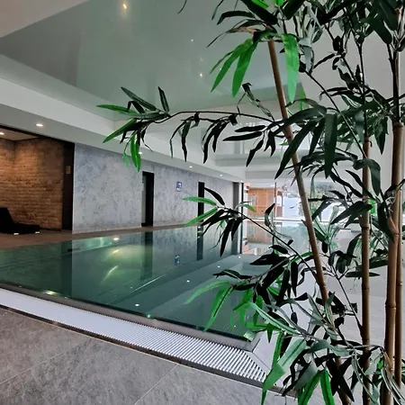 Superior Ferienapartment Latibuehl Am Am Waldrand Mit Balkon, Pool, Tiefgarage Und Abendsonne シュルッフゼー